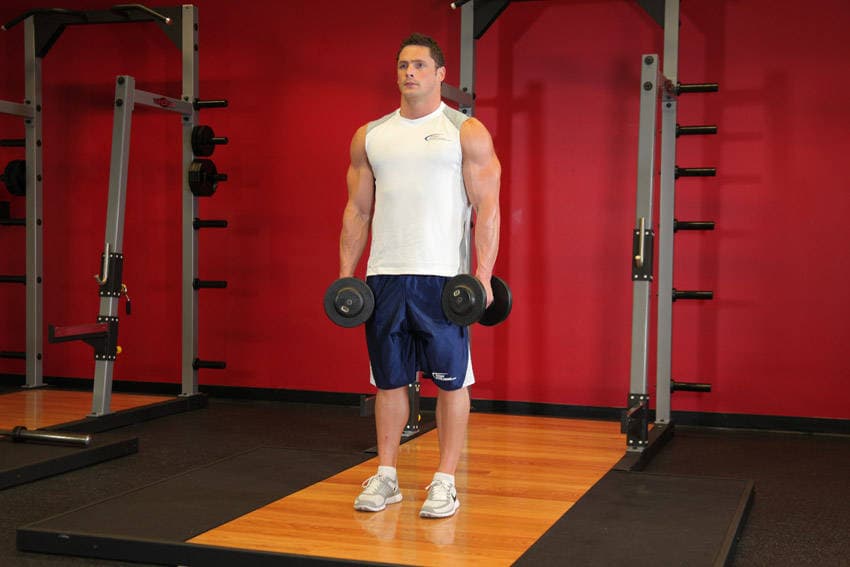 Dumbbell Shrug, start