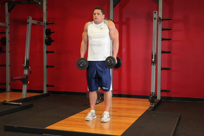 Dumbbell Shrug, end