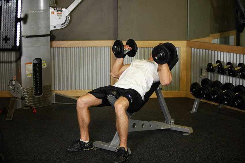 Hammer Grip Incline DB Bench Press, start