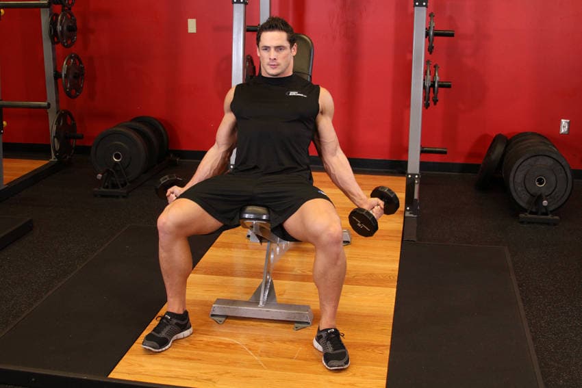 Incline Inner Biceps Curl, start