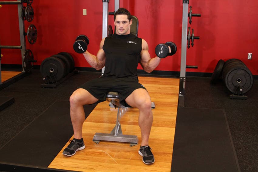 Incline Inner Biceps Curl, end