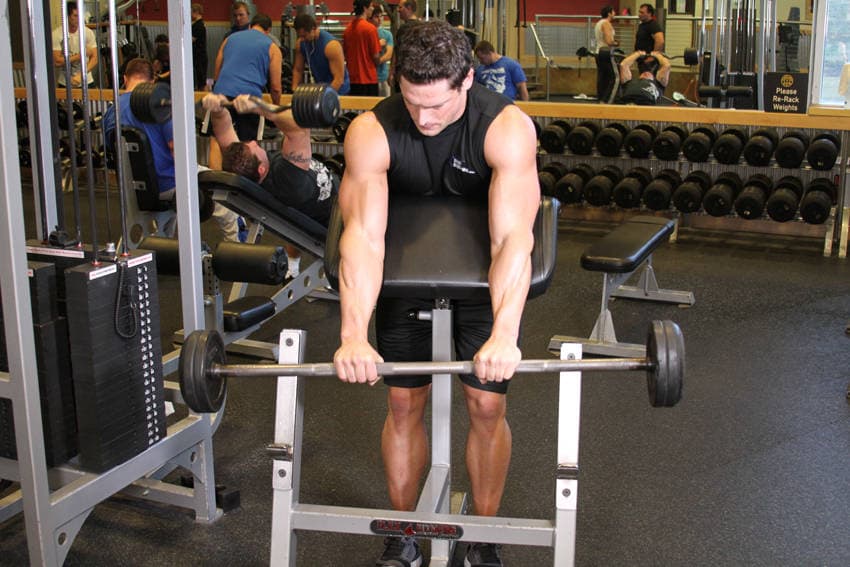 Reverse Barbell Preacher Curls, start