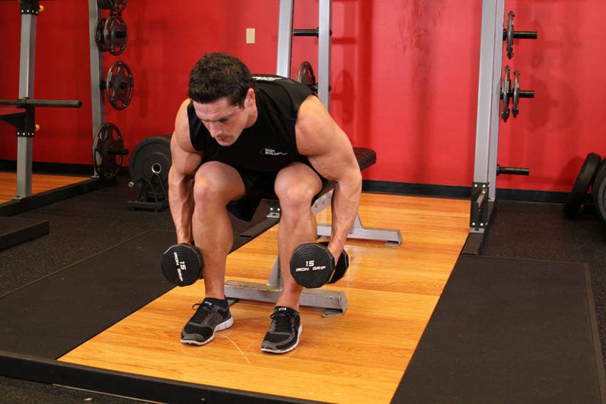 Seated Bent-Over Rear Delt Raise, start