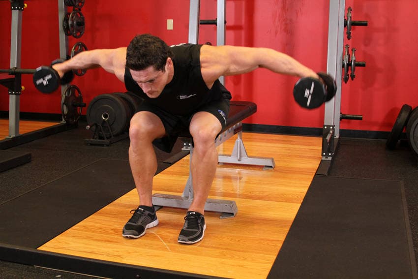 Seated Bent-Over Rear Delt Raise, end
