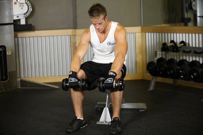 Seated Dumbbell Palms-Down Wrist Curl, start