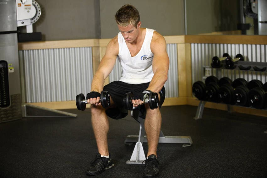 Seated Dumbbell Palms-Down Wrist Curl, end