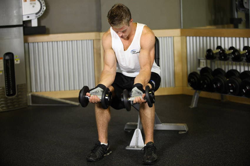 Seated Dumbbell Palms-Up Wrist Curl, start