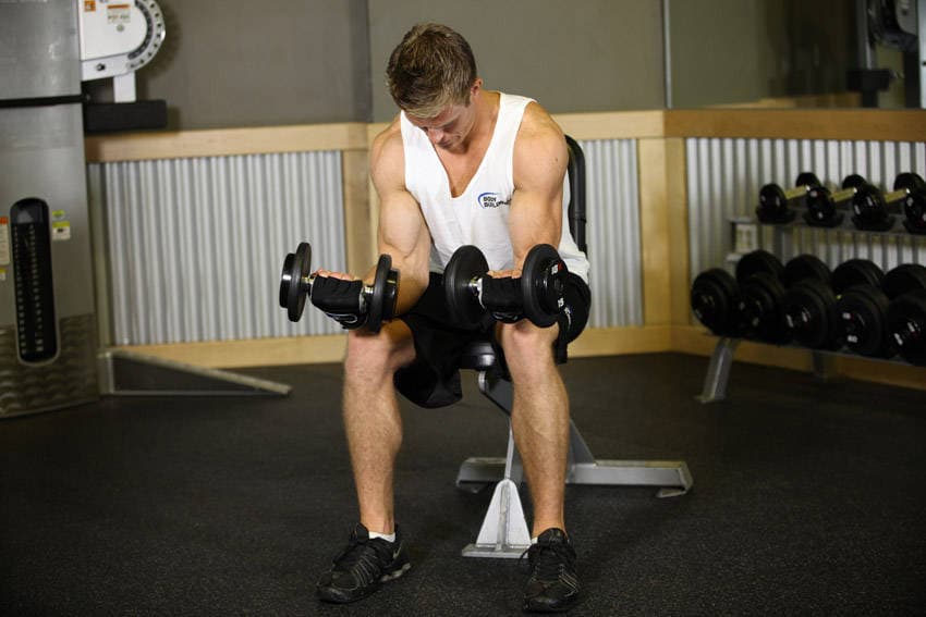 Seated Dumbbell Palms-Up Wrist Curl, end
