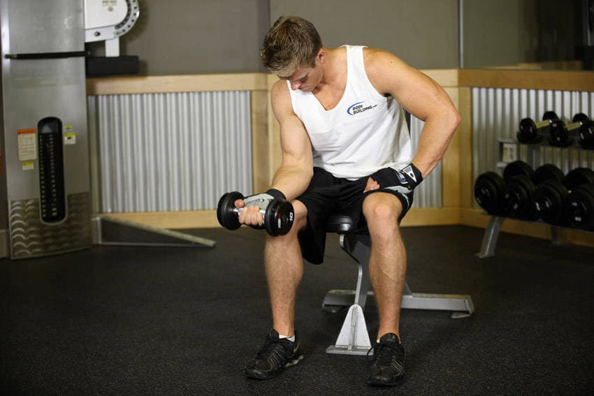 Seated One-Arm Dumbbell Palms-Up Wrist Curl, start