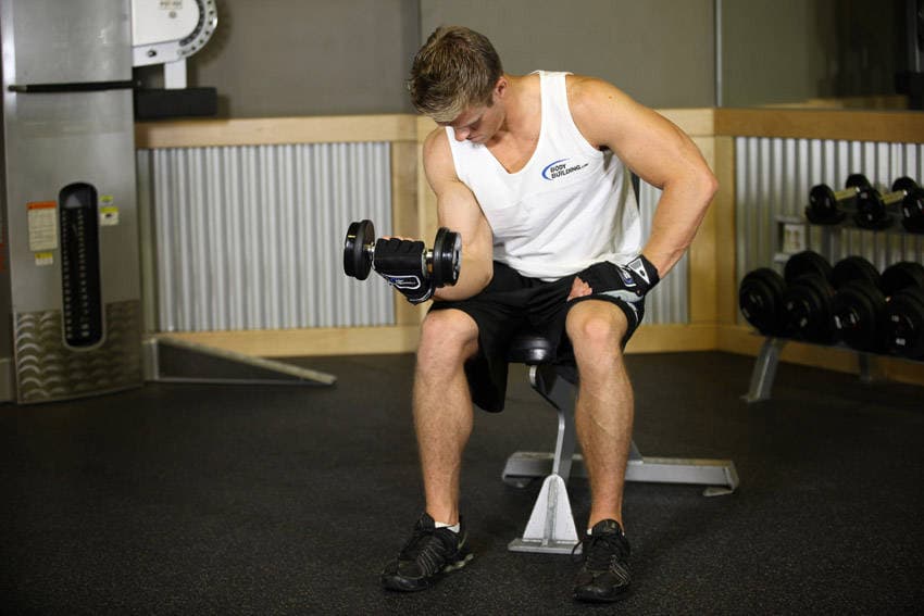 Seated One-Arm Dumbbell Palms-Up Wrist Curl, end