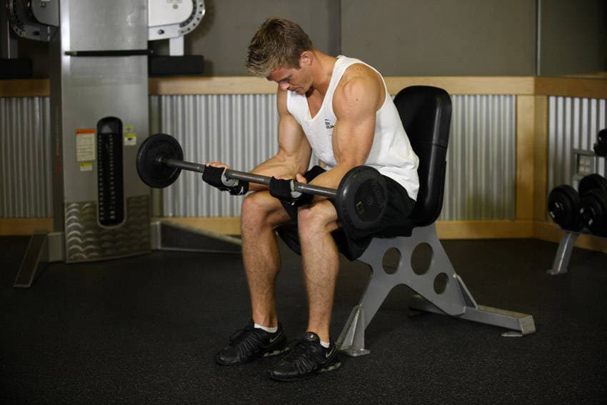 Seated Palm-Up Barbell Wrist Curl, end