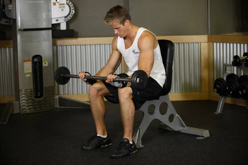 Seated Palms-Down Barbell Wrist Curl, end