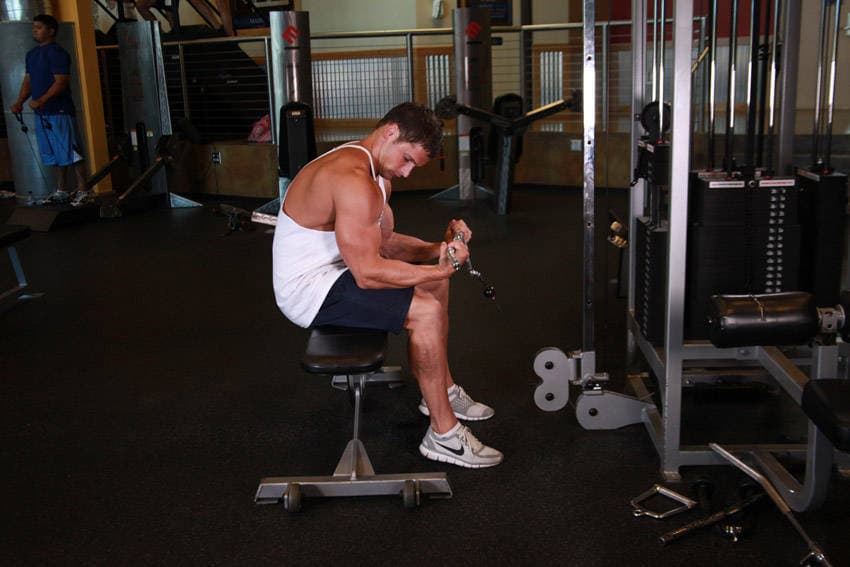 Seated Two-Arm Palms-Up Low-Pulley Wrist Curl, end