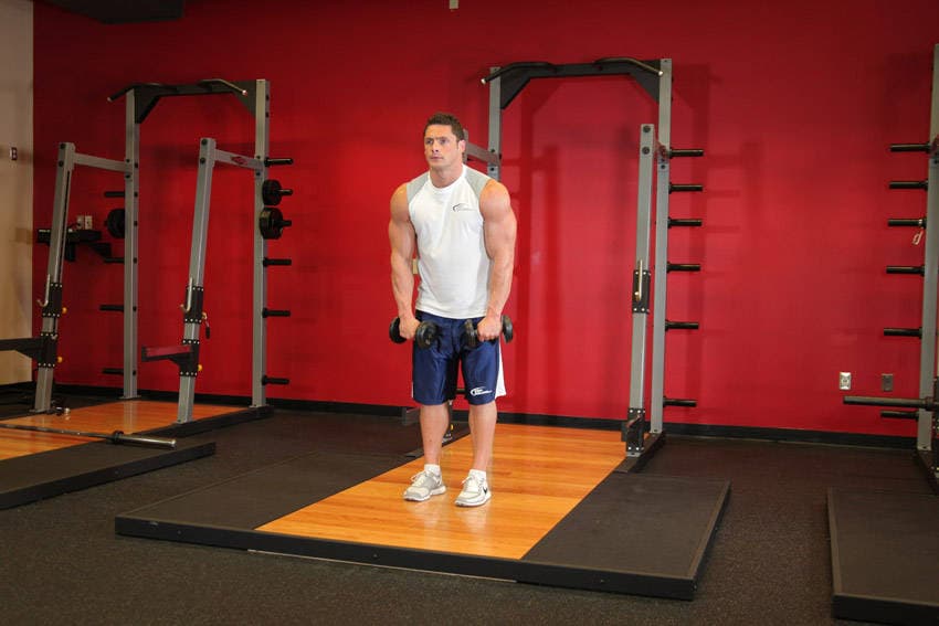 Standing Dumbbell Straight-Arm Front Delt Raise Above Head, start