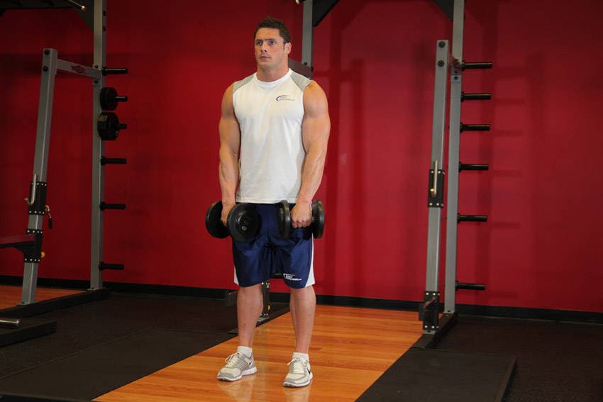 Standing Dumbbell Upright Row, end