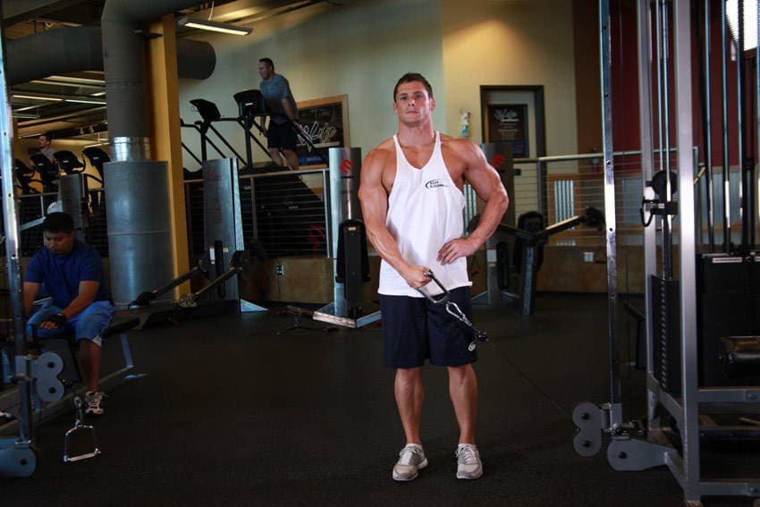 Standing Low-Pulley Deltoid Raise, end