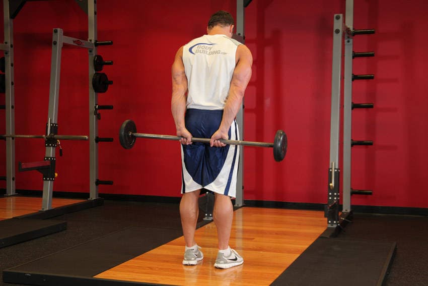 Standing Palms-Up Barbell Behind The Back Wrist Curl, end