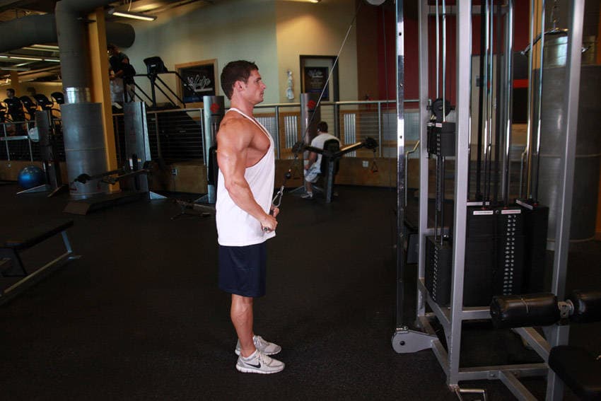 Straight-Arm Pulldown, end