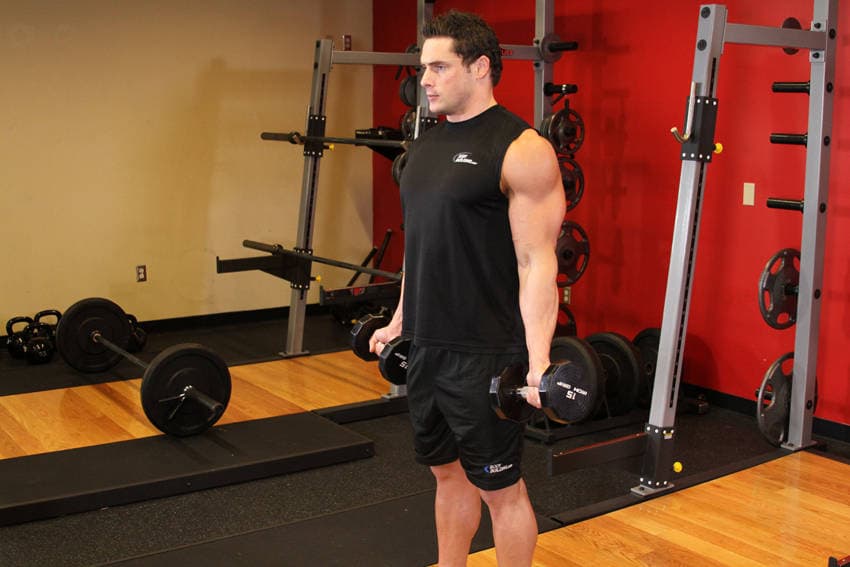 Curl Zottman, inicio